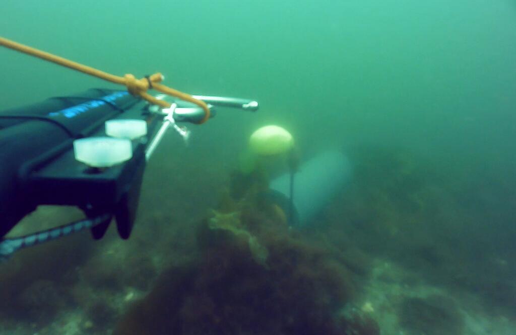 A very short but productive cruise for sensor and system tests