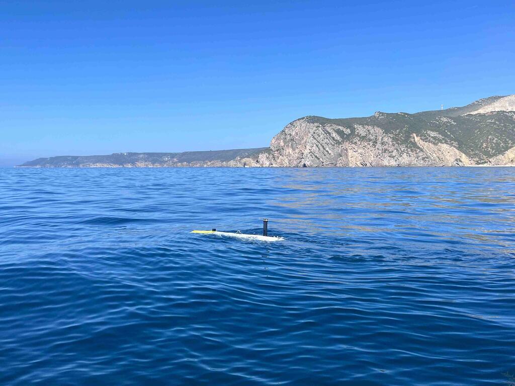  REPMUS 2025: MMinE-SwEEPER Teams in Action