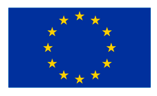 EU Flag